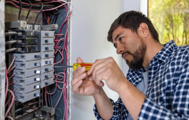 Best Local Electrician Companies  in Tigerville, SC